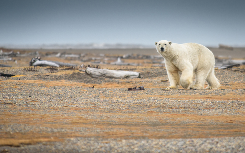 Cambio climático y pensamiento crítico