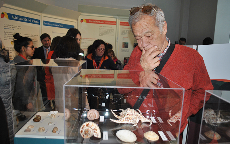 ¿Cómo afecta el cambio climático a los moluscos y al equilibrio de la flora y fauna marina? Exposición en Valparaíso entrega las respuestas