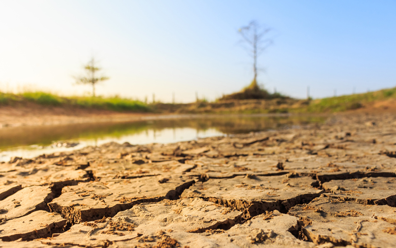 Crisis hidro-climática