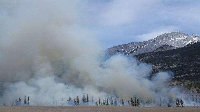 Huella del Fuego