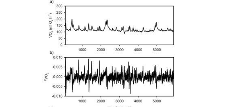 Effects of thermal environment and activity on the fractal properties of metabolic rate in Mus musculus