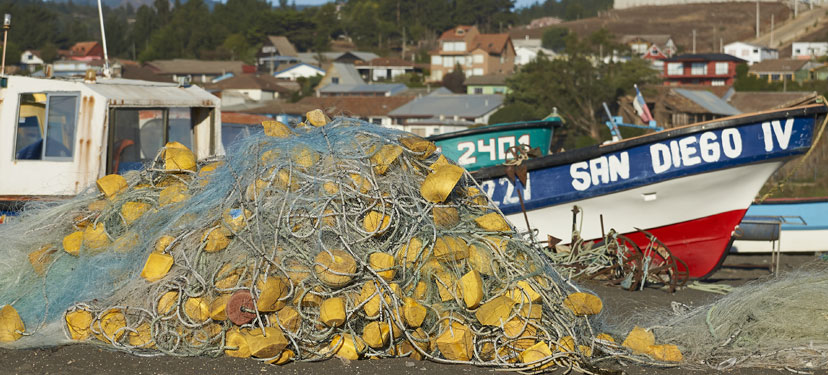 Instituto Milenio en Socio-Ecología Costera (SECOS)